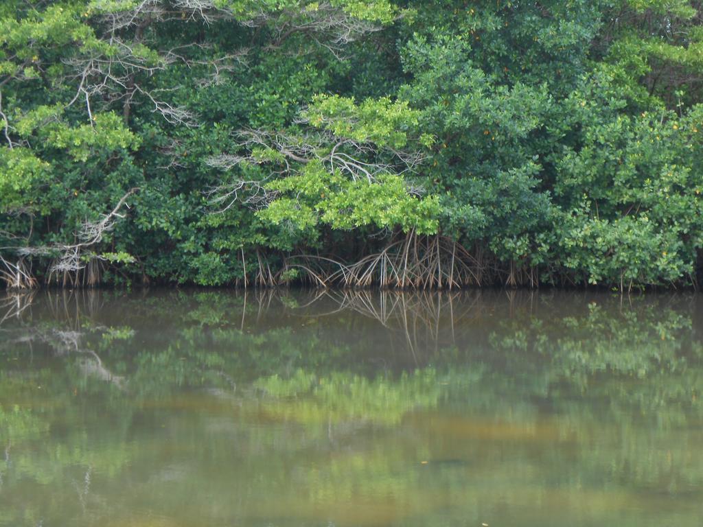 Villa Sans-Souci Lowlands エクステリア 写真