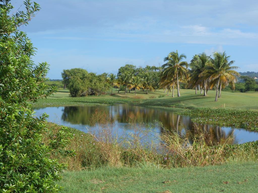 Villa Sans-Souci Lowlands エクステリア 写真